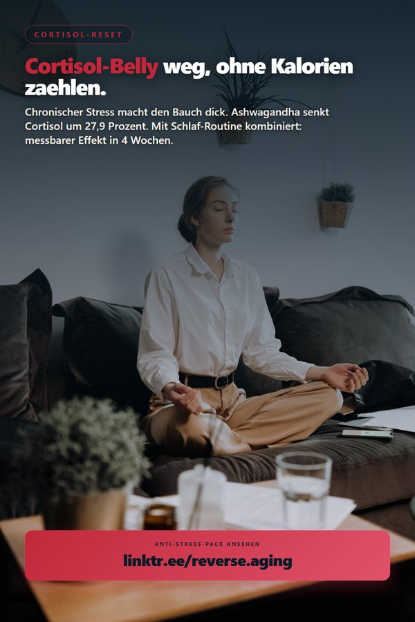 Pin: Cortisol-Belly und Stress